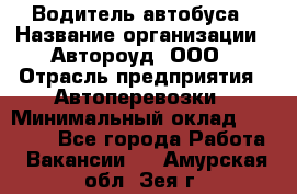 Водитель автобуса › Название организации ­ Автороуд, ООО › Отрасль предприятия ­ Автоперевозки › Минимальный оклад ­ 50 000 - Все города Работа » Вакансии   . Амурская обл.,Зея г.